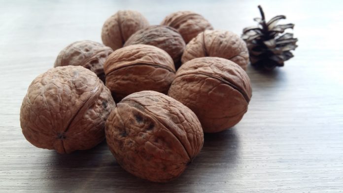 nuts-3351563_1920