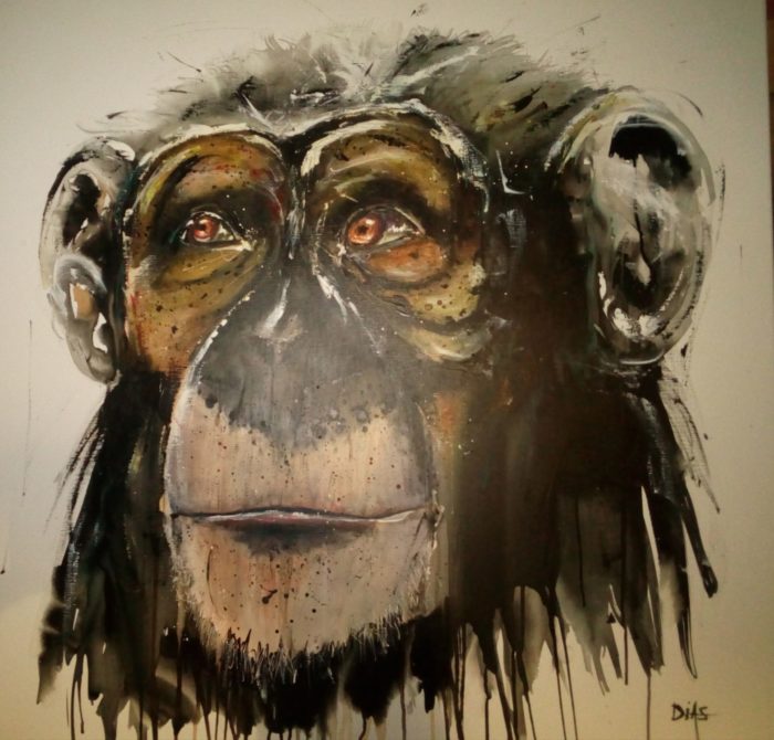 Expo Philippe Dias