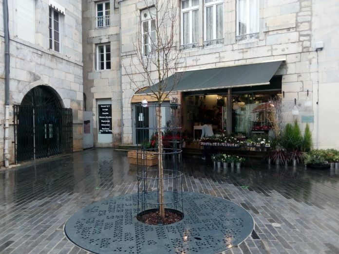 Magnolia place Pasteur Magnolia place Pasteur