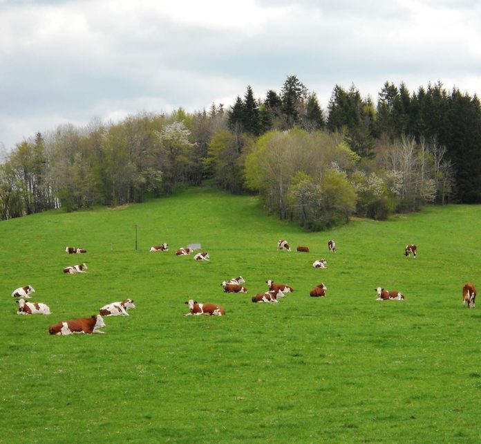 AGRI
