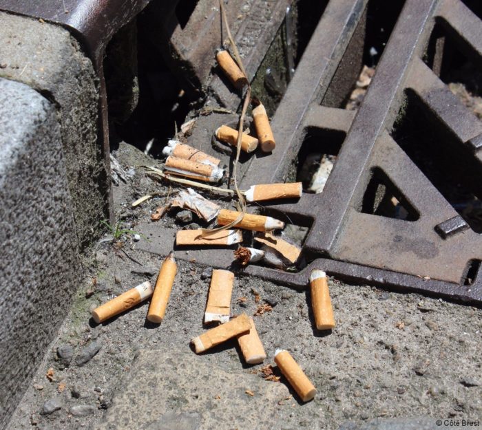 mégots de cigarettes dans la rue