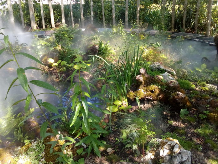 festival des jardins 2020