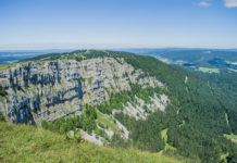 Balade. Mont d’Or : Entre chalets d’alpage, fleurs d’été et vaches montbéliardes le mont d'or doubs