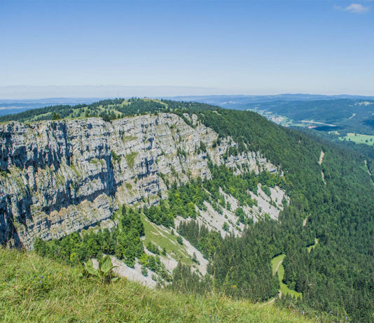 Balade. Mont d’Or : Entre chalets d’alpage, fleurs d’été et vaches montbéliardes le mont d'or doubs