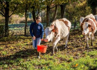 PAC 2022 : un acompte à 55,8 millions d’€ pour le Doubs