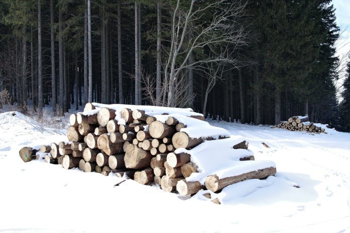 wood-5227559_1920