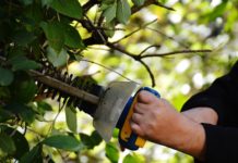 Le printemps arrive, sur le calendrier au moins, et avec lui les beaux jours et pour les amateurs de jardinage le moment de reprendre leur activité favorite.