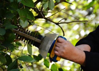 Le printemps arrive, sur le calendrier au moins, et avec lui les beaux jours et pour les amateurs de jardinage le moment de reprendre leur activité favorite.