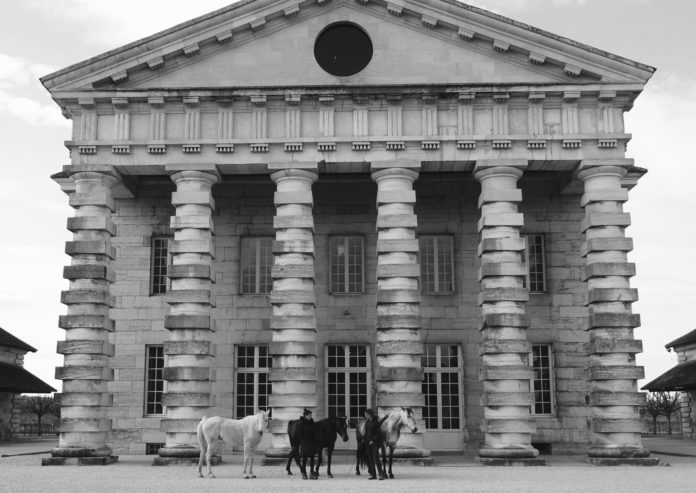 les chevaux célestes