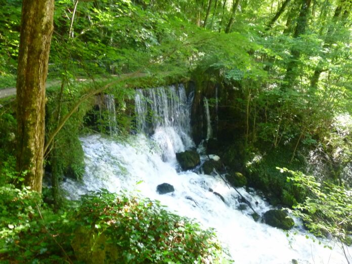 Source d'Arcier