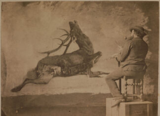 Le musée d’Ornans met en lumières les ateliers d’artistes