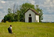 Haut-Doubs. Pays de Maîche. Des pièges photos pour le suivi des espèces sauvages