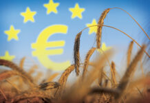 Le monde agricole face à la guerre en Ukraine Guerre en Ukraine