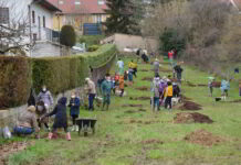 Grand Besançon. Des vergers de sauvegarde dans la Vallée Verte