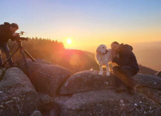 Les animaux reviennent sur France 3 avec la nouvelle émission « En Terre Animale »