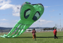 Haut-Doubs. Pontarlier : des dizaines de cerfs-volants dans le ciel