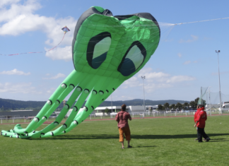 Haut-Doubs. Pontarlier : des dizaines de cerfs-volants dans le ciel