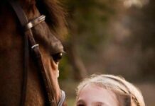 Weekend équestre aux écuries des Morlots du 1er au 3 juillet