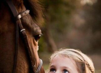 Weekend équestre aux écuries des Morlots du 1er au 3 juillet