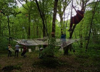 Saint-Vit. L’événement Back to the Trees a remporté un franc succès