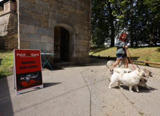 Besançon. Patch Guard pour favoriser le bien-être animal et celui des touristes à Besançon
