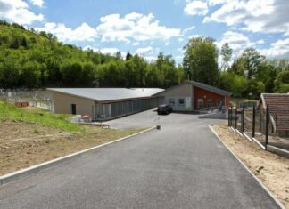 Besançon. Toujours trop d’animaux à la SPA