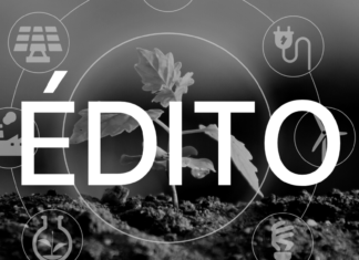 Gendarmes verts, justice environnementale