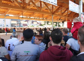 Grand Pontarlier. Une subvention exceptionnelle pour le Super Comice 2025 25 000 spectateurs lors du dernier Super Comice