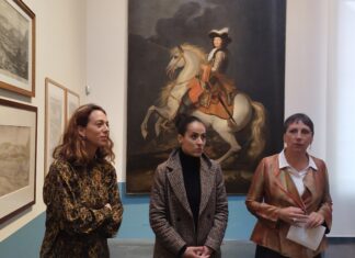 Le Beau Siècle. La vie artistique à Besançon au XVIIIe siècle