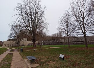 Besançon. Près de 1000 arbres seront plantés durant l’hiver à Besançon