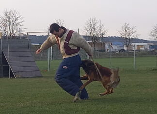 Haut-Doubs. Education et sport au club canin pontissalien