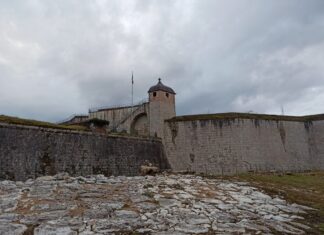 Besançon. Une conférence sur le Muséum d’histoire naturelle de Besançon