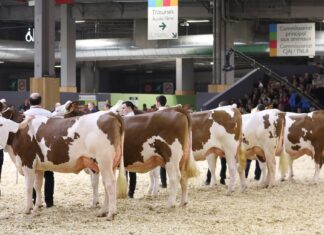 SIA 2024 : le Doubs bien décoré