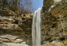 Région. Le groupe Facebook LAVEFC comptera bientôt 100 000 membres