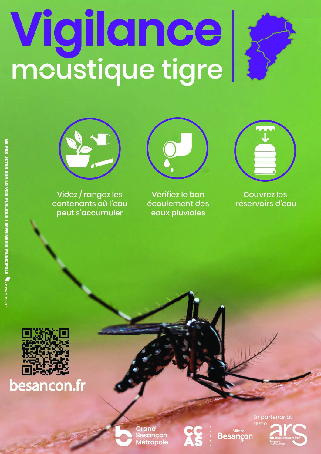 Moustique tigre : précautions et signalement