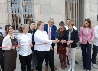 Loiseau a posé son nid à Besançon