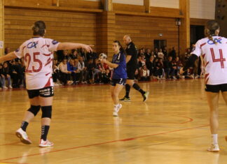 Doubs. Handball : l’Entente Saône Mamirolle vise toujours plus haut