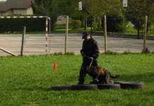 Haut-Doubs. Les métiers de la sécurité c’est à la MFR de Vercel