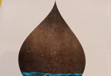 Besançon. Plan sécheresse au menu du conseil municipal