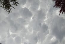 Bulletin d’humeur : Entre les gouttes !