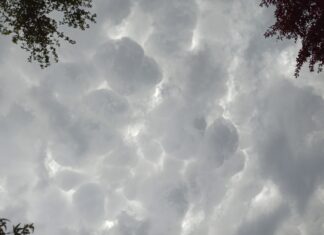 Bulletin d’humeur : Entre les gouttes !