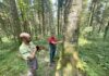 Haut-Doubs. 30 ans à étudier la forêt