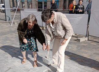 Rénovation végétale Place de la Révolution