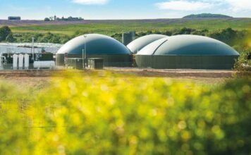 100% de gaz vert à l’horizon 2050