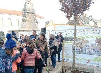 Besançon. La végétalisation a commencé Place de la Révolution