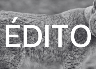 Un chasseur très peu partageur