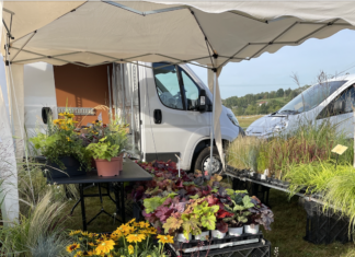 Palise : les végétaux à l’honneur pour la fête des Plantes