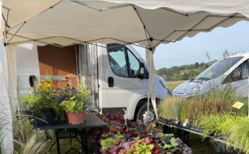 Palise : les végétaux à l’honneur pour la fête des Plantes