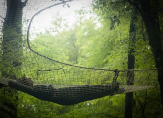 Back to the Trees, l’art en forêt près de Saint-Vit