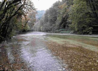 Le nouveau lit du Dessoubre